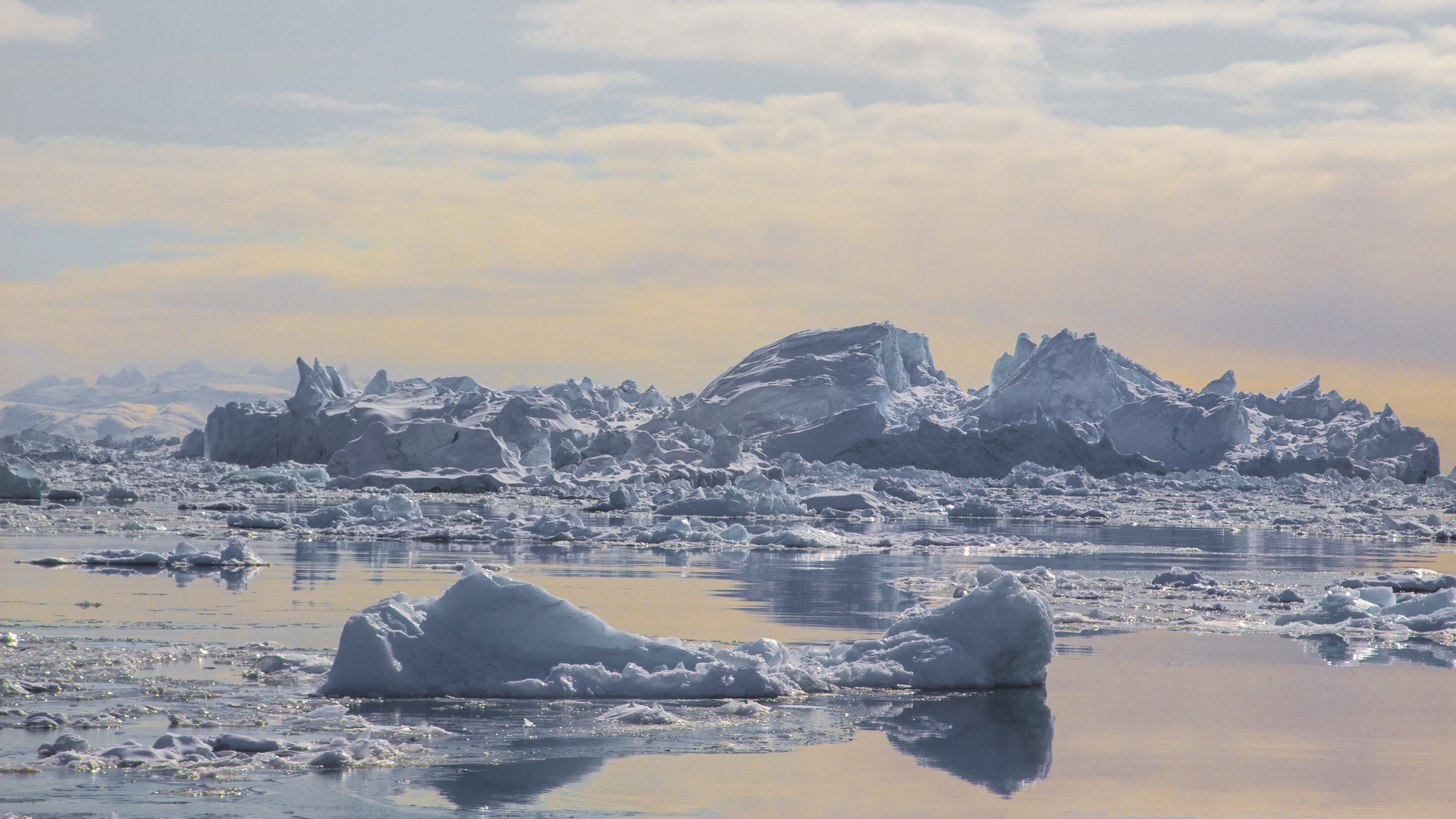 eisberge im sermilikfjord