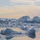 eisberge im sermilikfjord