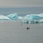 Eisberge in der Discobucht