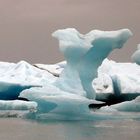 Eisberge in der Gletscherlagune