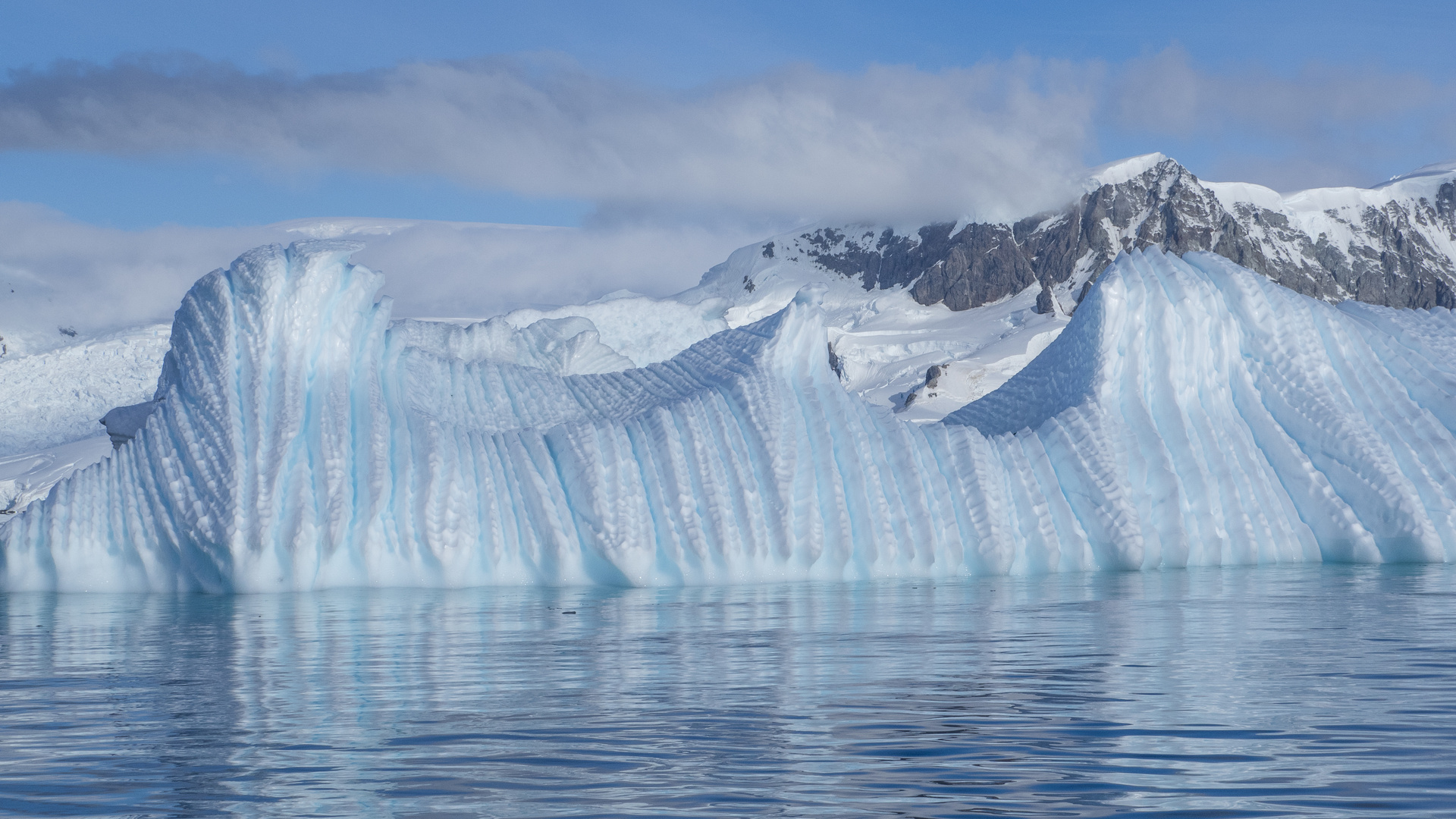 Eisberge in der Wilhelmina Bay