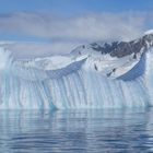 Eisberge in der Wilhelmina Bay