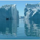 Eisberge in Ilulissat