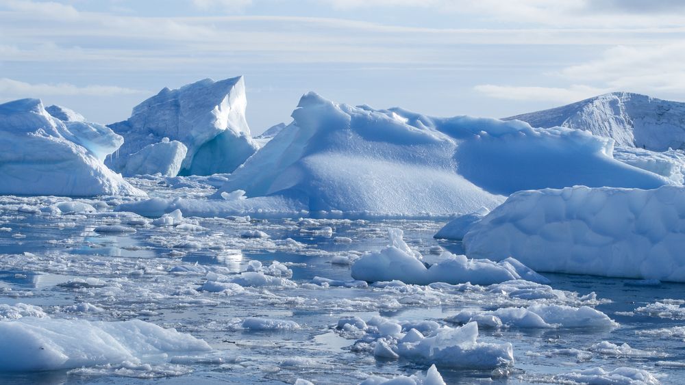 Eisberge in Portal Bay