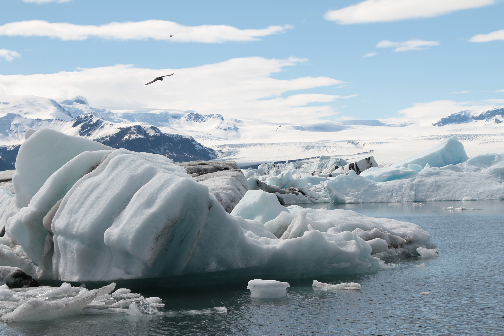 Eisberge Island 