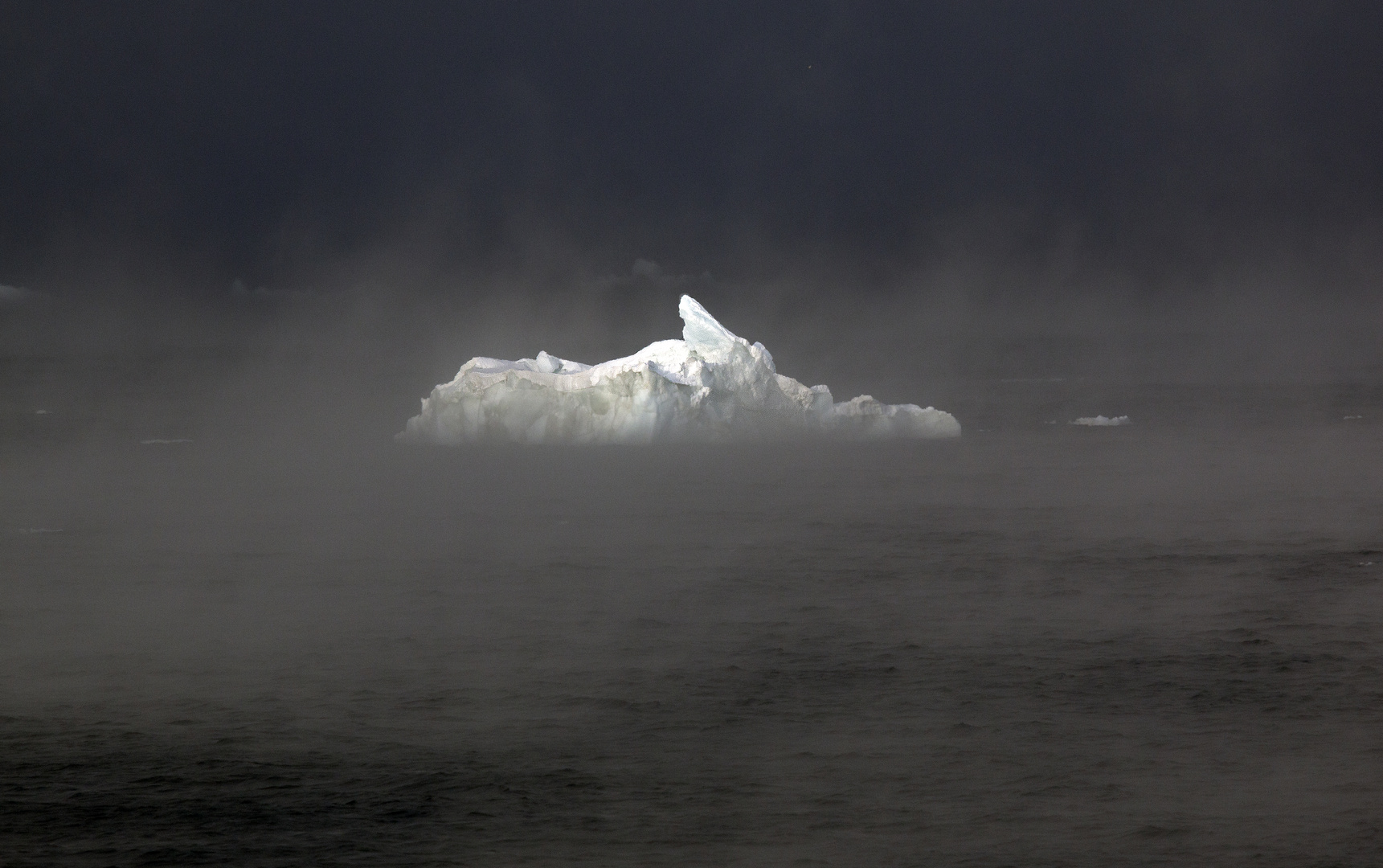 Eisberge treiben im Nebel