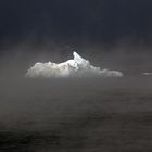 Eisberge treiben im Nebel