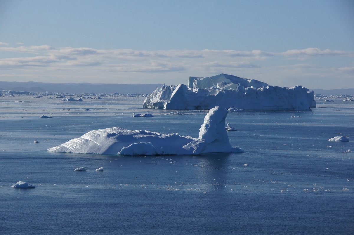 Eisberge und Packeis in der Discobucht vor Ilulissat ( Grönland )