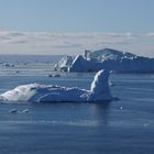 Eisberge und Packeis in der Discobucht vor Ilulissat ( Grönland )
