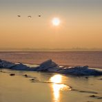 Eisberge vor Greifswald 2