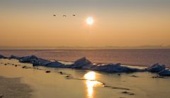 Eisberge vor Greifswald 2