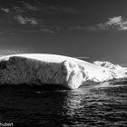 Eisberge vor Neufundland
