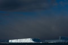 Eisberge vor Südgeorgien