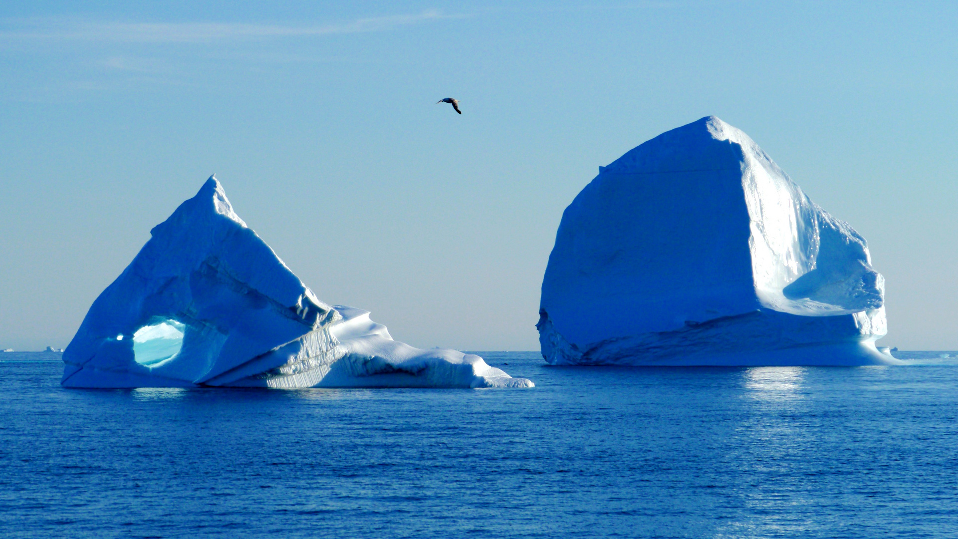 Eisberge, Westgrönland