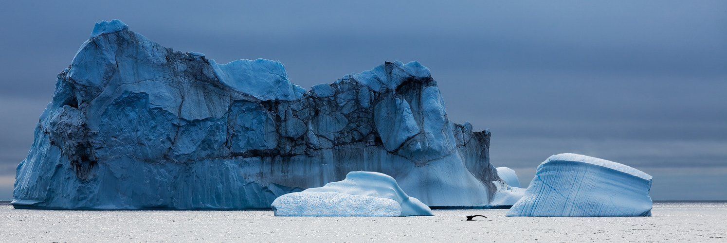 Eisbergpanorama...