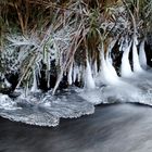 Eisbildung am Silberbach