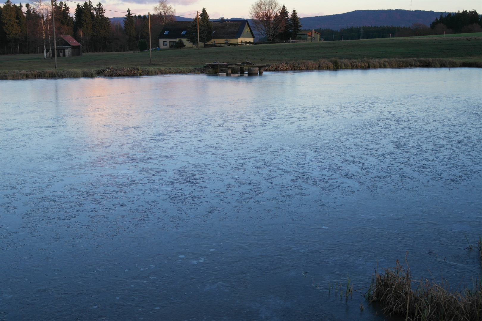 Eisbildung auf dem Teich