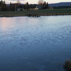 Eisbildung auf dem Teich