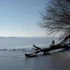 Eisbildungen an der Schlei. 