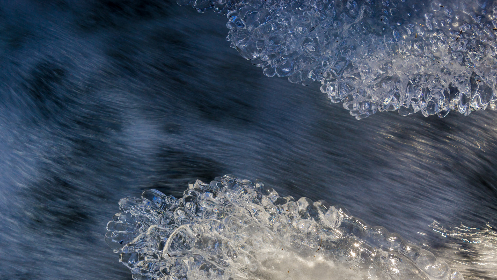 Eisbirnen an Wasser