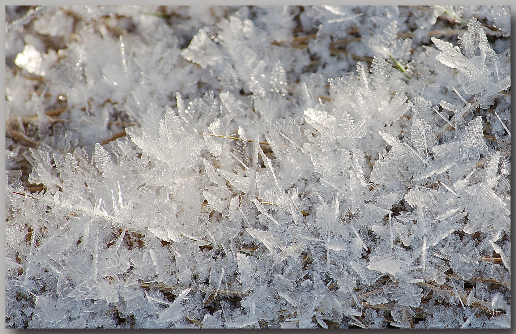 Eisblätter