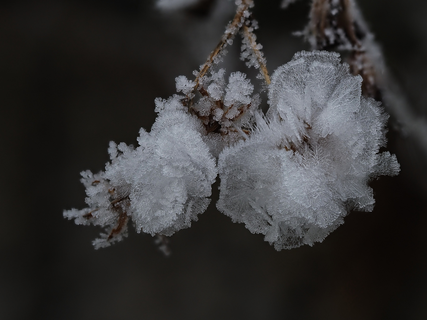 Eisblümchen-Deko