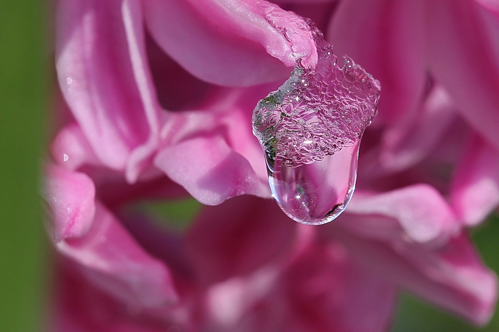 Eisblüte