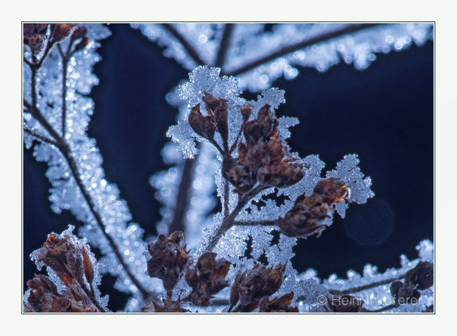 Eisblüten