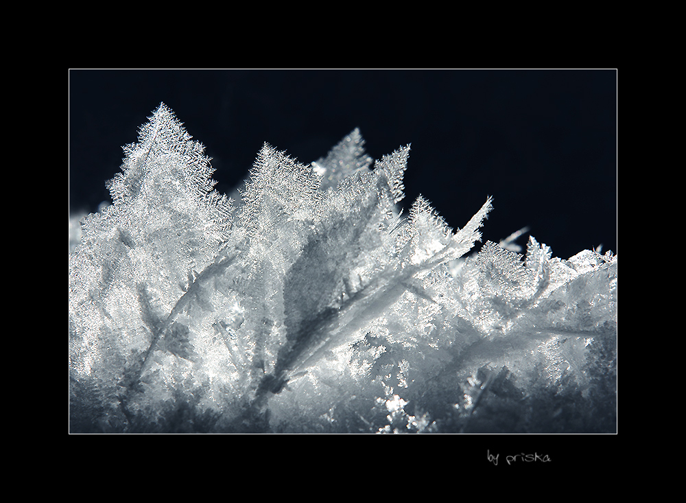 Eisblüten