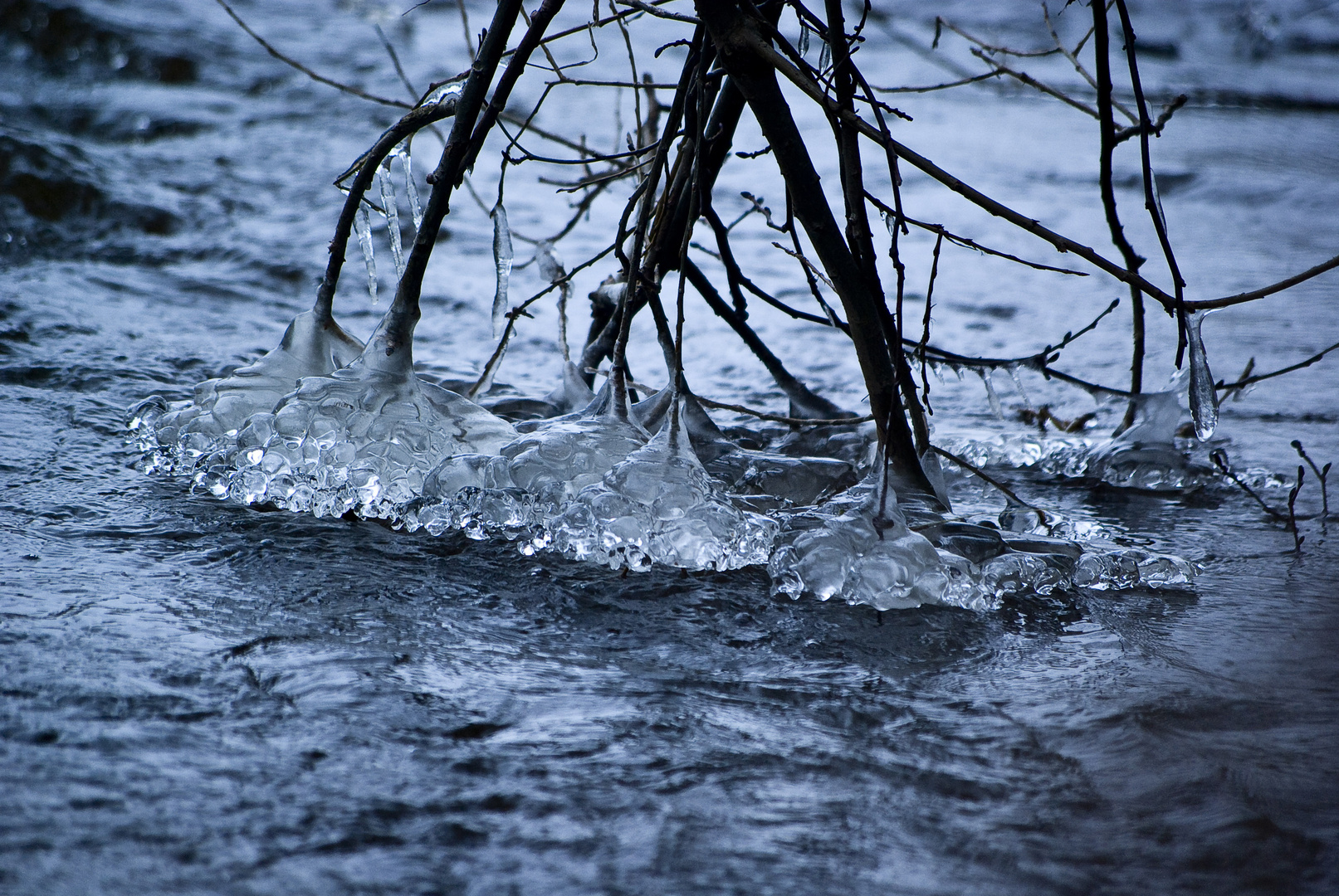 Eisblüten