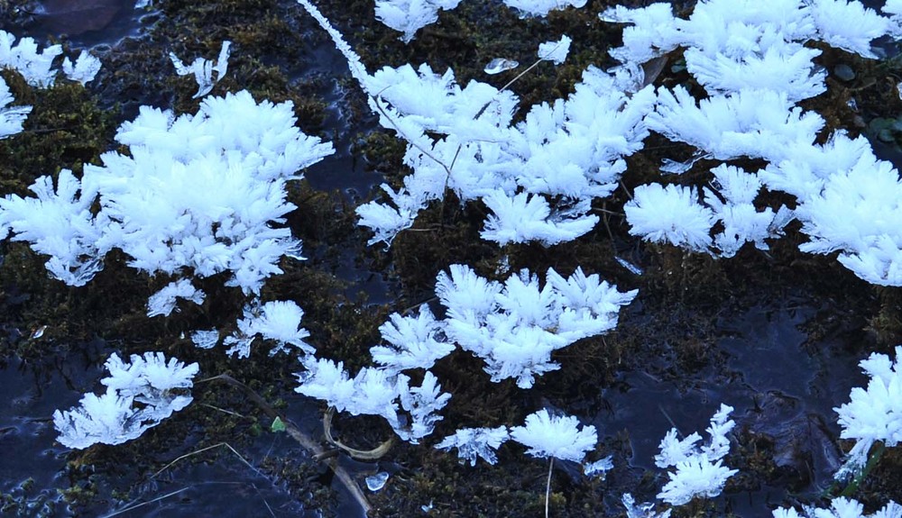 EISBLÜTEN IM LOISACHTAL