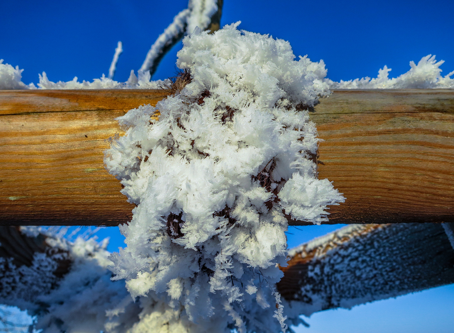 Eisblüten im Winter 2012