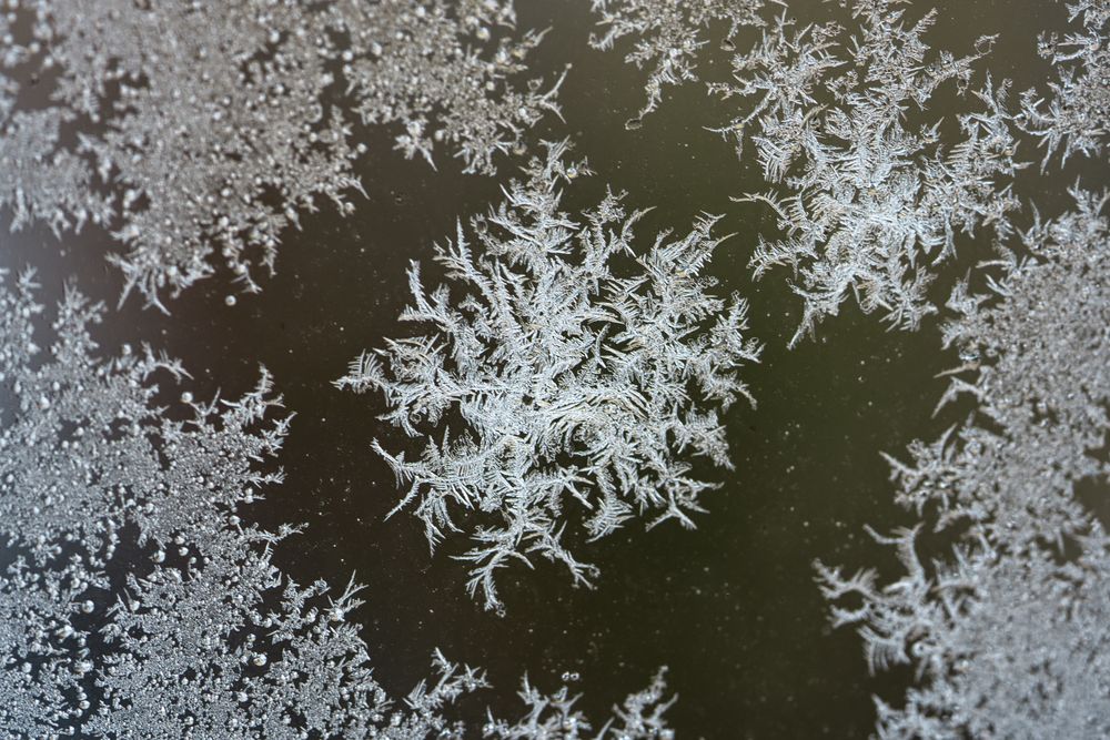 Eisblume am Fenster