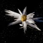 Eisblume auf dem See mit rätselhafter Mitte