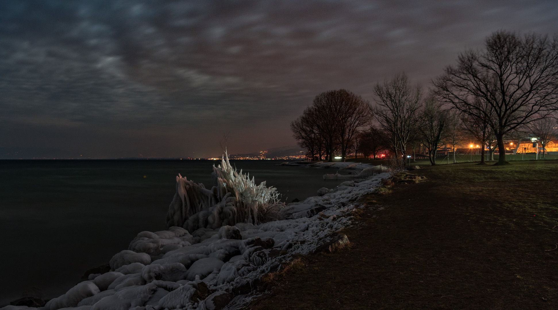 Eisblume bei Nacht