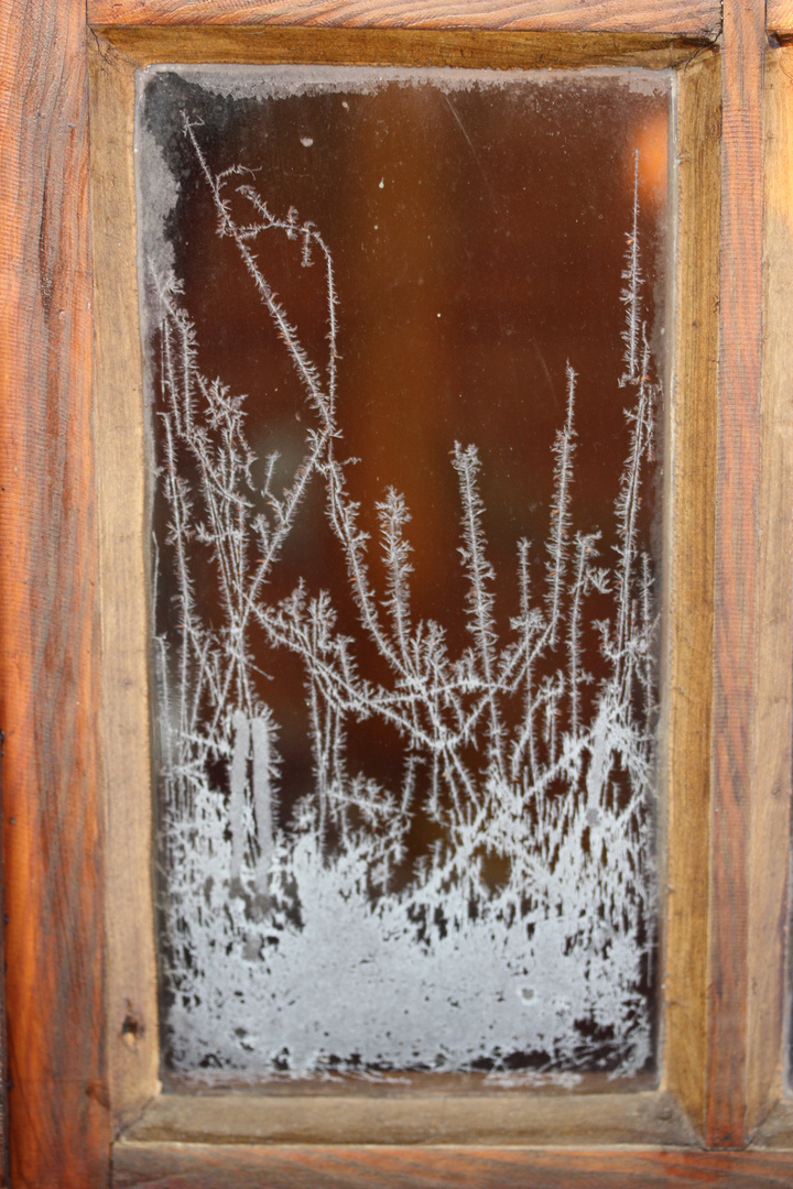 Eisblume im Bilderrahmen