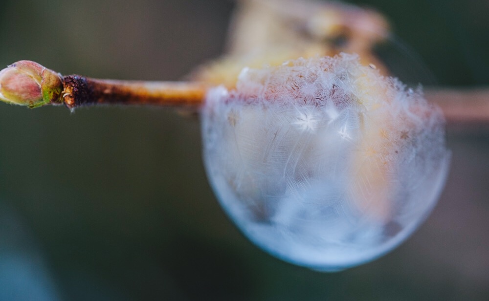 Eisblume in der Seifenblase 