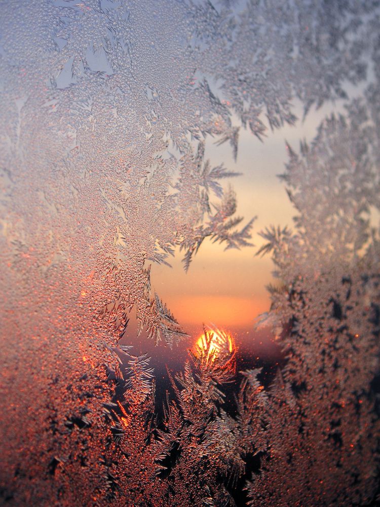Eisblumen Foto & Bild | wetter, winter, blumen Bilder auf fotocommunity