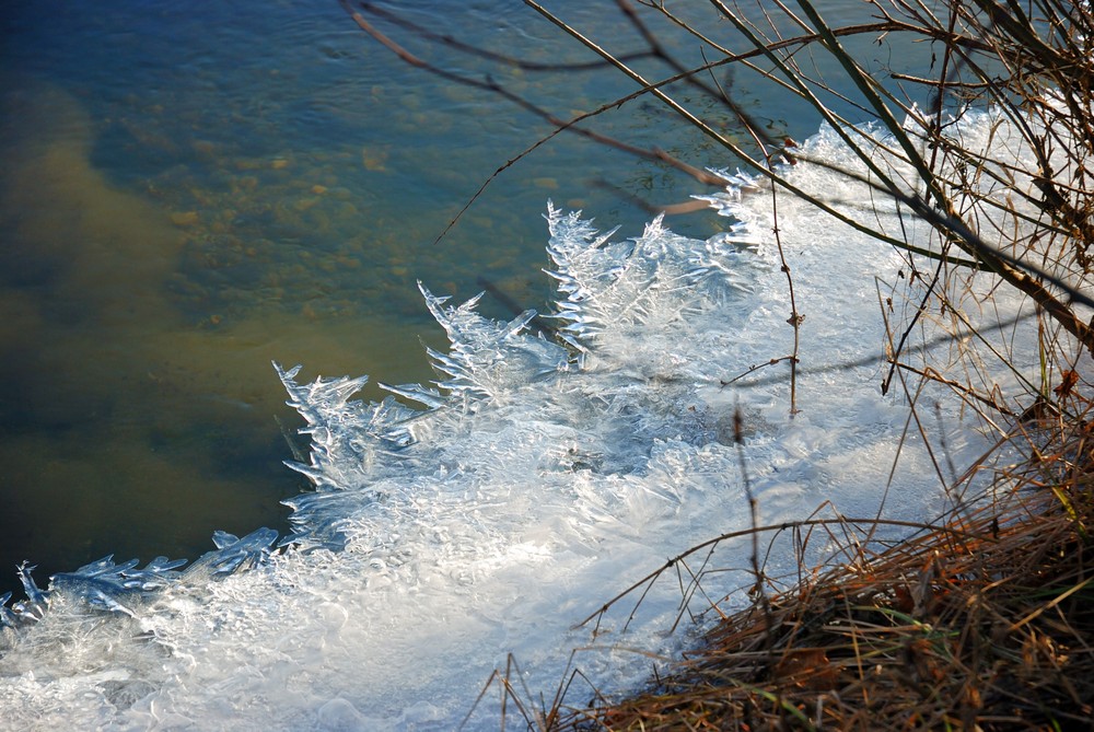 Eisblumen