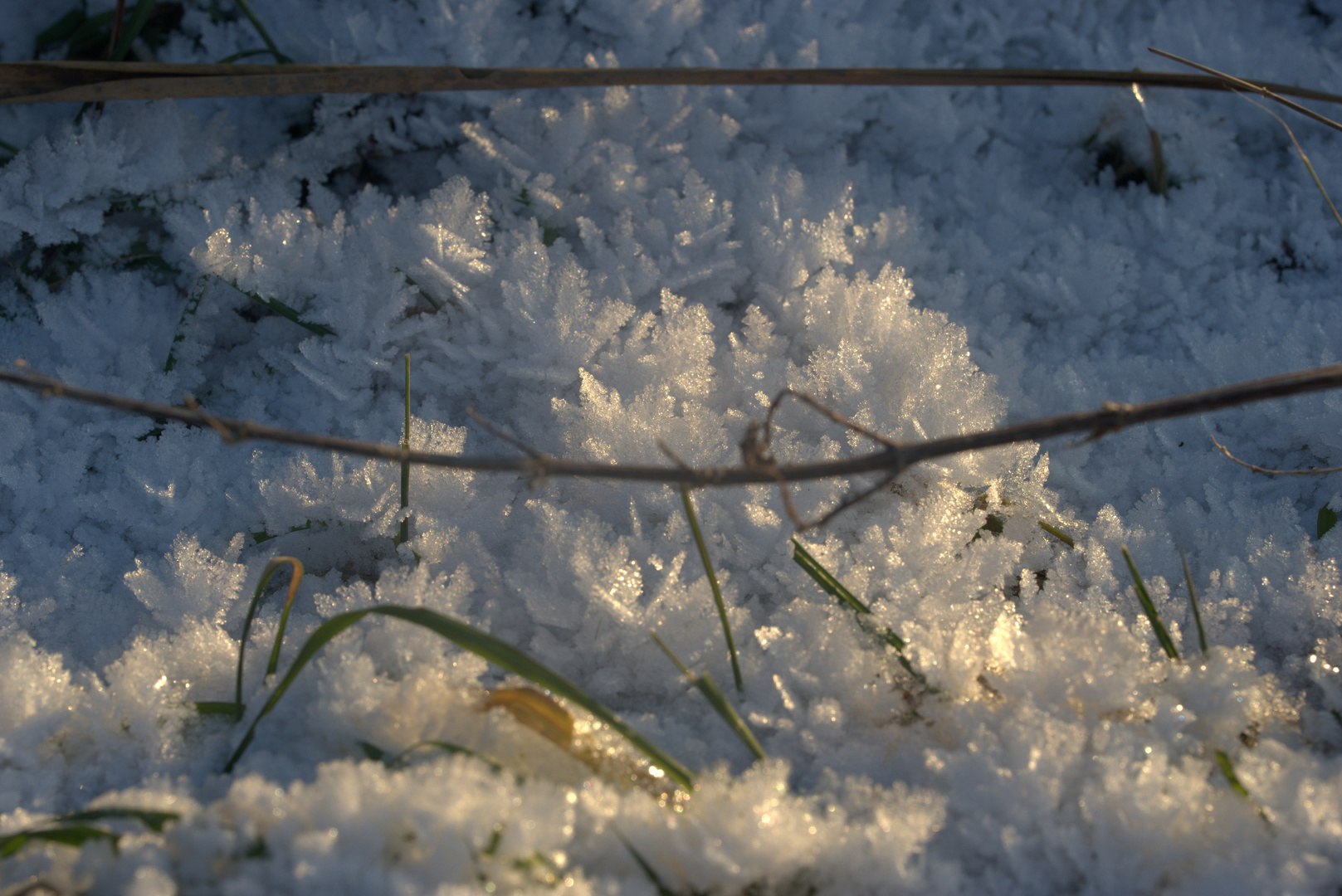 Eisblumen