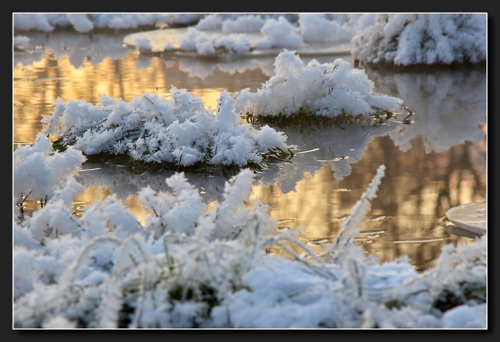 Eisblumen ..