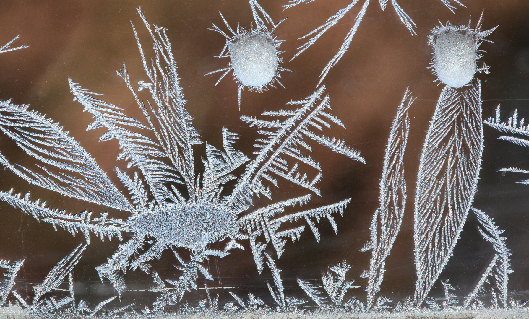 eisblumen fenster
