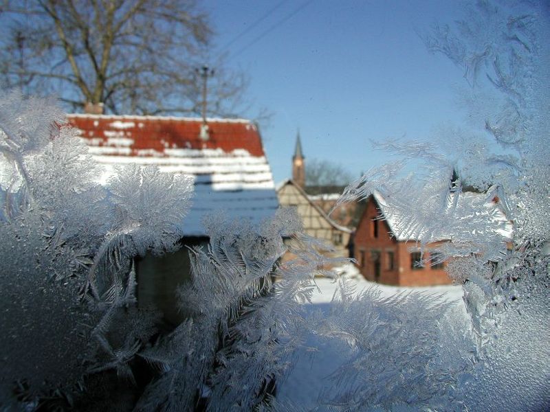 Eisblumen