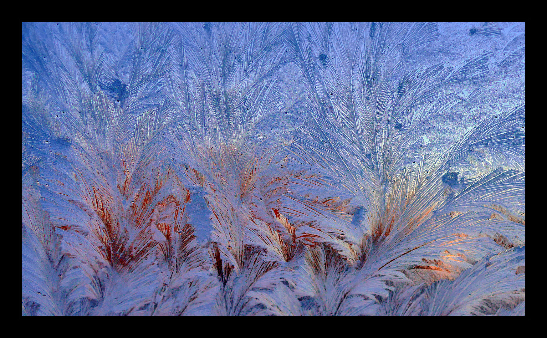 Eisblumen Foto &amp; Bild dezember, fenster, winter Bilder