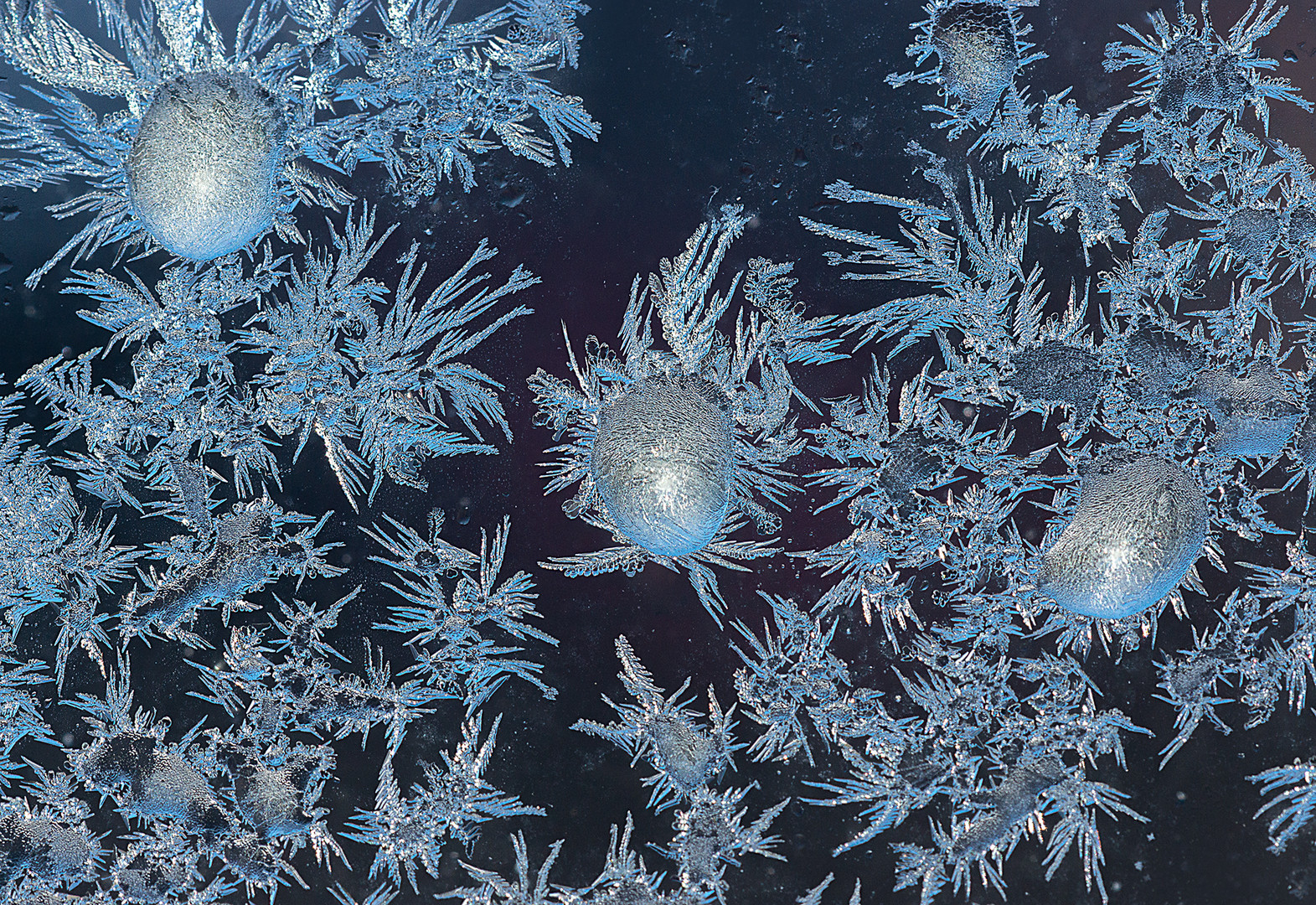 Eisblumen Foto & Bild sonstiges, wasser im detail, eisdetails Bilder