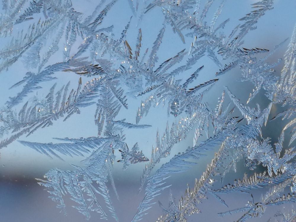 Eisblumen Foto & Bild gefroren, kalt, blau Bilder auf