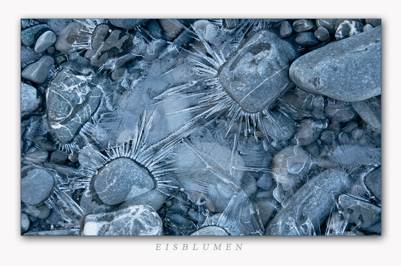 Eisblumen