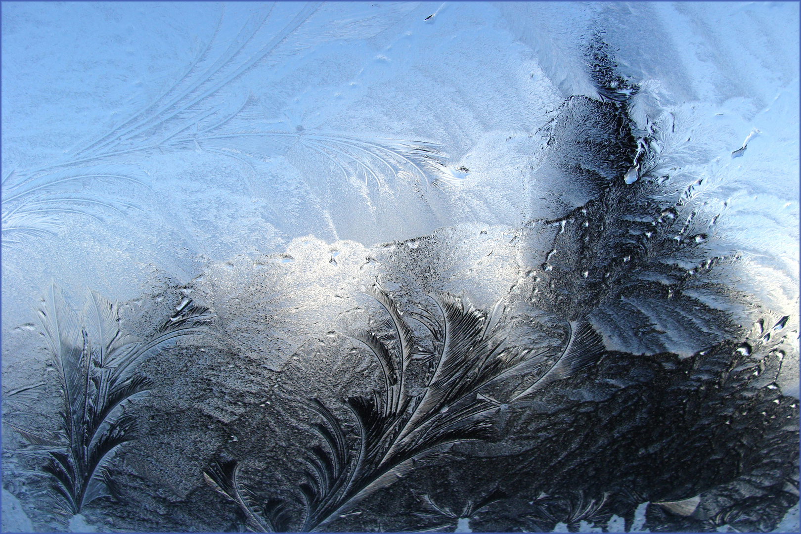Eisblumen-am . . Foto &amp; Bild | sonstiges, jahreszeiten, winter Bilder ...
