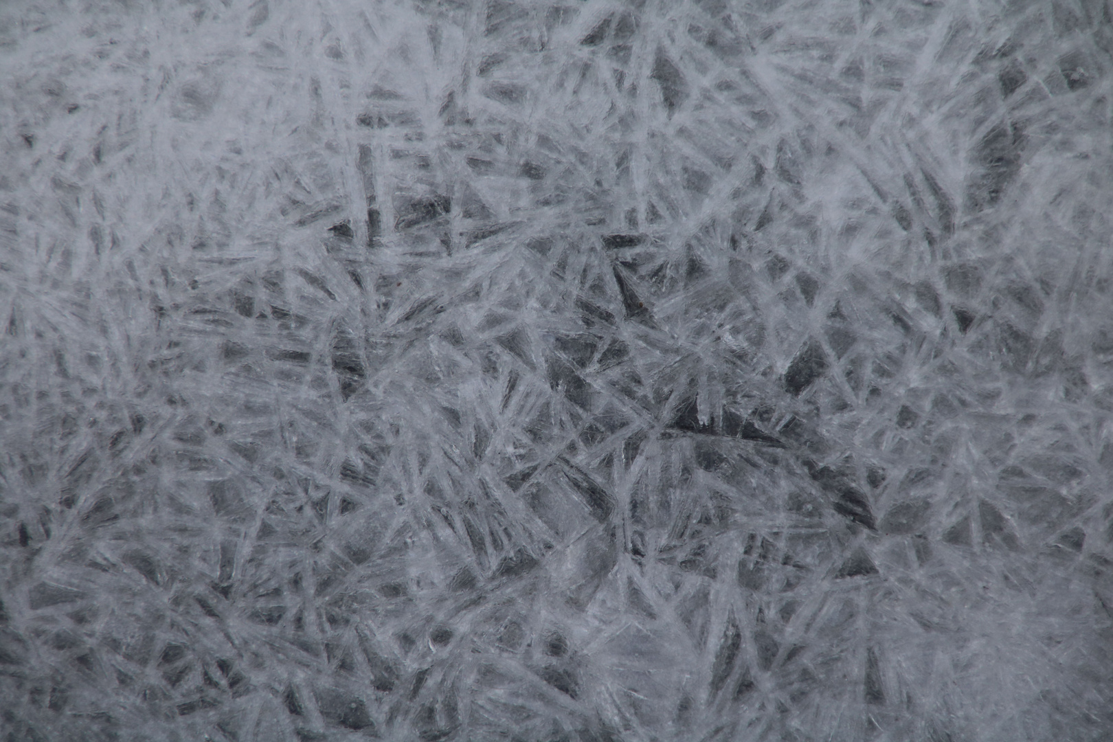 Eisblumen am Bach