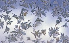 Eisblumen am Fenster